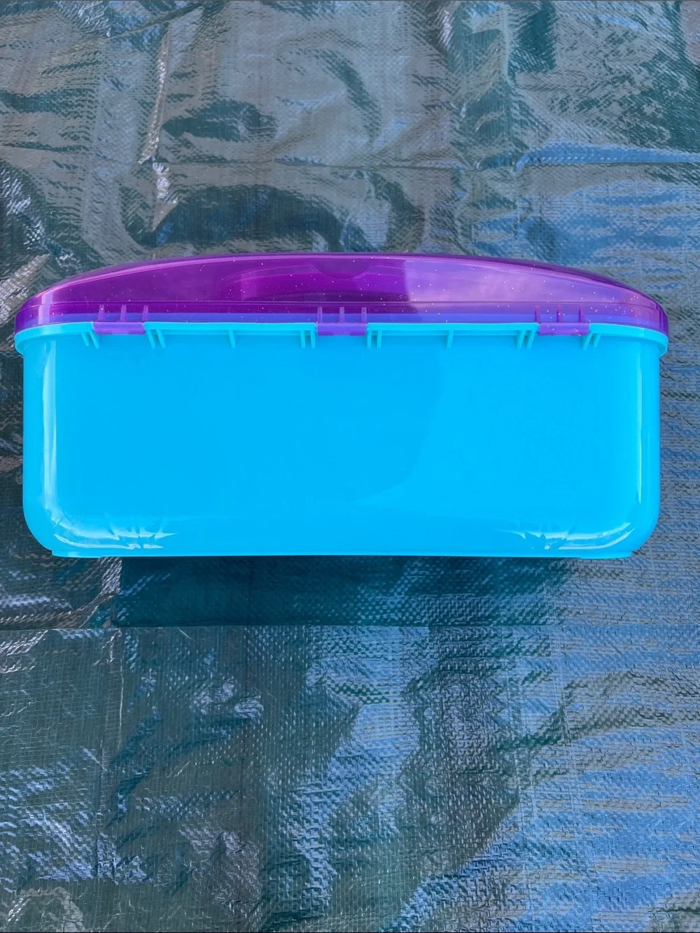 My Little Pony Aqua Storage Box with Purple Lid